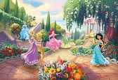 Papier peint photo Komar Disney Princess Park 368x254cm 8 pièces