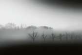 Wizard+Genius Foggy Landscape Vlies Fotobehang 384x260cm 8-banen