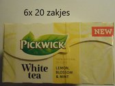 Pickwick - White tea - witte thee - Lemon, Blossom & mint -  multipak 6x 20 zakjes