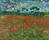 Vincent van Gogh, Papaverveld, 1890 op aluminium, 30 X 45 CM