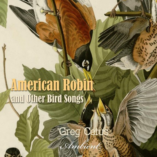 American Robin and Other Bird Songs - cover