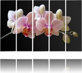 Schilderij , Roze Orchidee , 4 maten , 5 luik , zwart roze , wanddecoratie , XXL
