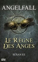 Territoires 2 - Angelfall - tome 2 Le règne des anges