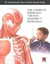 Complete Portfolio of Human Anatomy and Pathology