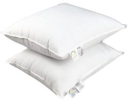 OrthoMedic Hoofdkussen Set (2 Stuks) - 60x70x10 cm - Wit