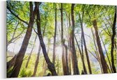 Schilderij - Regenwoud — 100x70 cm