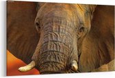 Schilderij - Close-up , Afrikaanse olifant — 90x60 cm