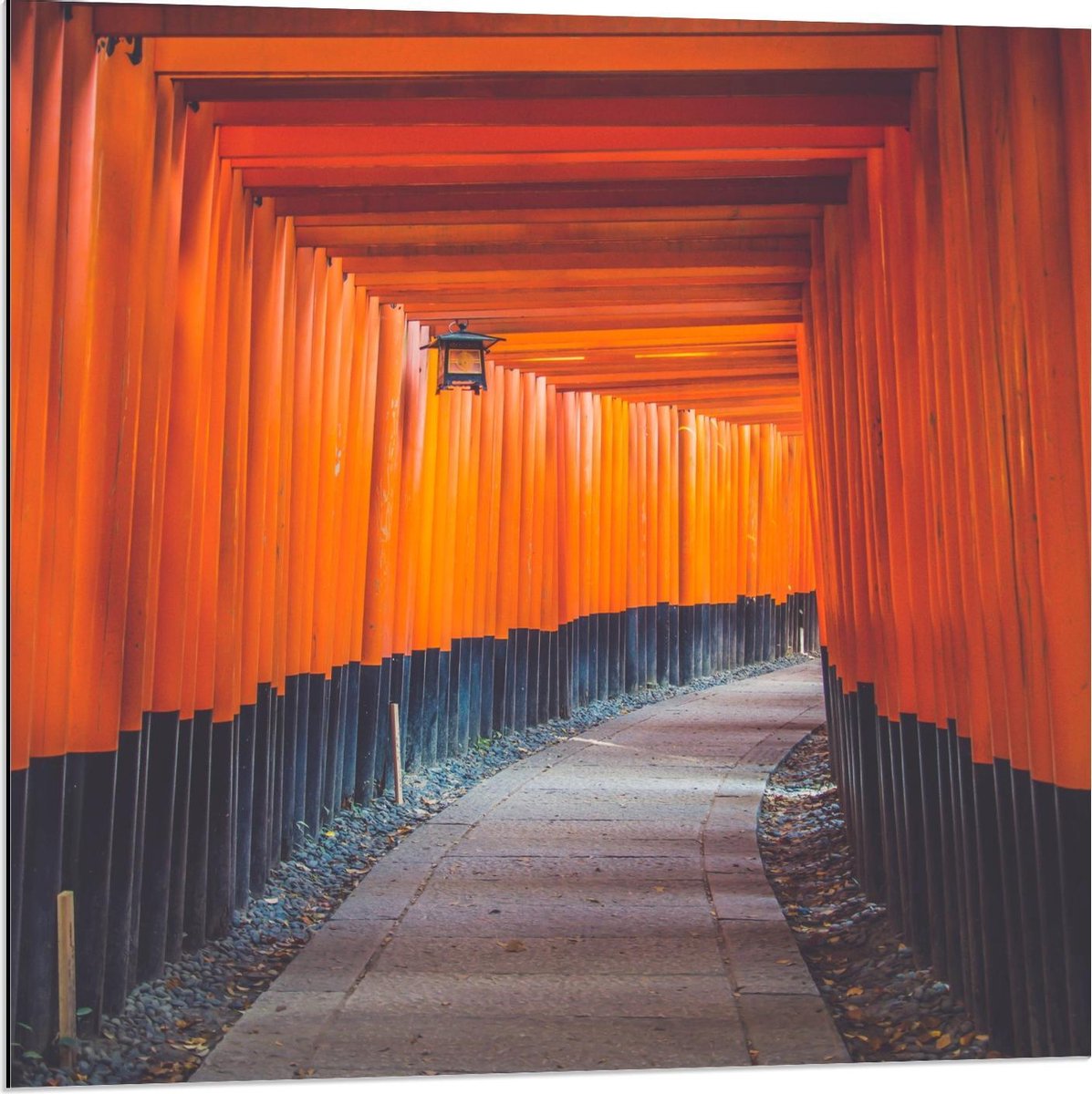 Dibond - Gang van Oranje Palen - 80x80cm Foto op Aluminium (Met Ophangsysteem)