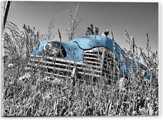Acrylglas - Blauwe Retro Auto in Gras - 40x30cm Foto op Acrylglas (Wanddecoratie op Acrylglas)