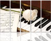 Schilderij Witte roos op piano, 5 luik, 4 maten, XXL, premium print