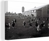 Poules dans une ferme en toile noir et blanc 2cm 60x40 cm - Tirage photo sur toile (Décoration murale salon / chambre) / Peintures sur toile Animaux de la ferme