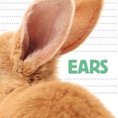 Whose Is It?- Ears