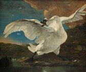 Fotobehang Bedreigde zwaan uit de topcollectie van het Rijksmuseum 350 x 260 cm - € 195