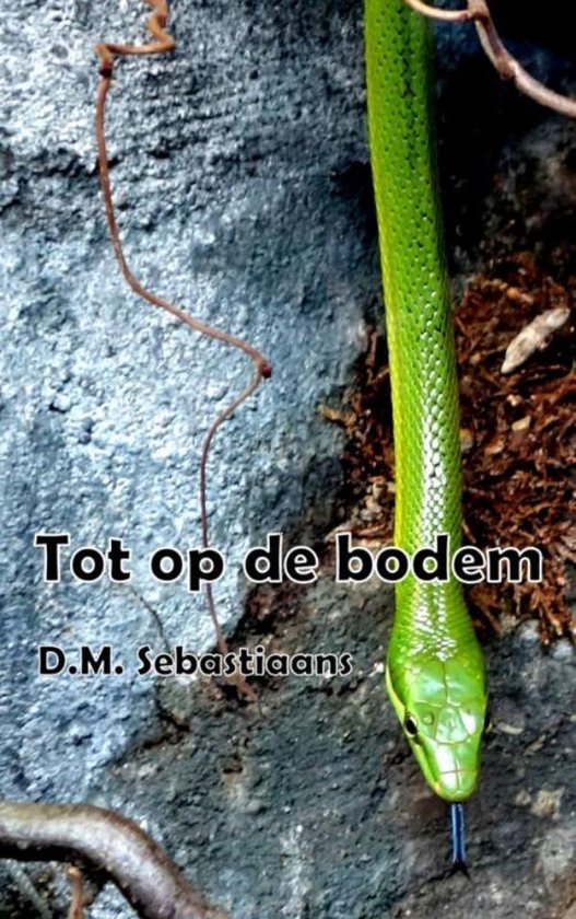 Tot op de bodem - cover