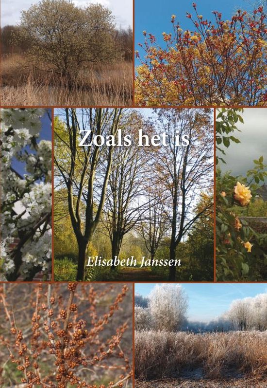 Cover van het boek 'Zoals Het Is'
