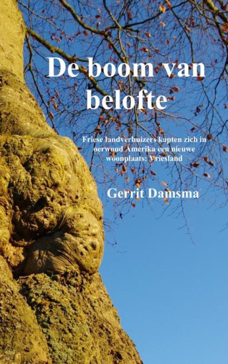 De boom van belofte - Gerrit Damsma