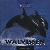 Dierenfamilies  -   Walvissen