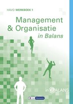 Management en Organisatie in Balans Havo Werkboek 1