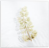 Forex - Witte Bloem met Schaduwen - 50x50cm Foto op Forex