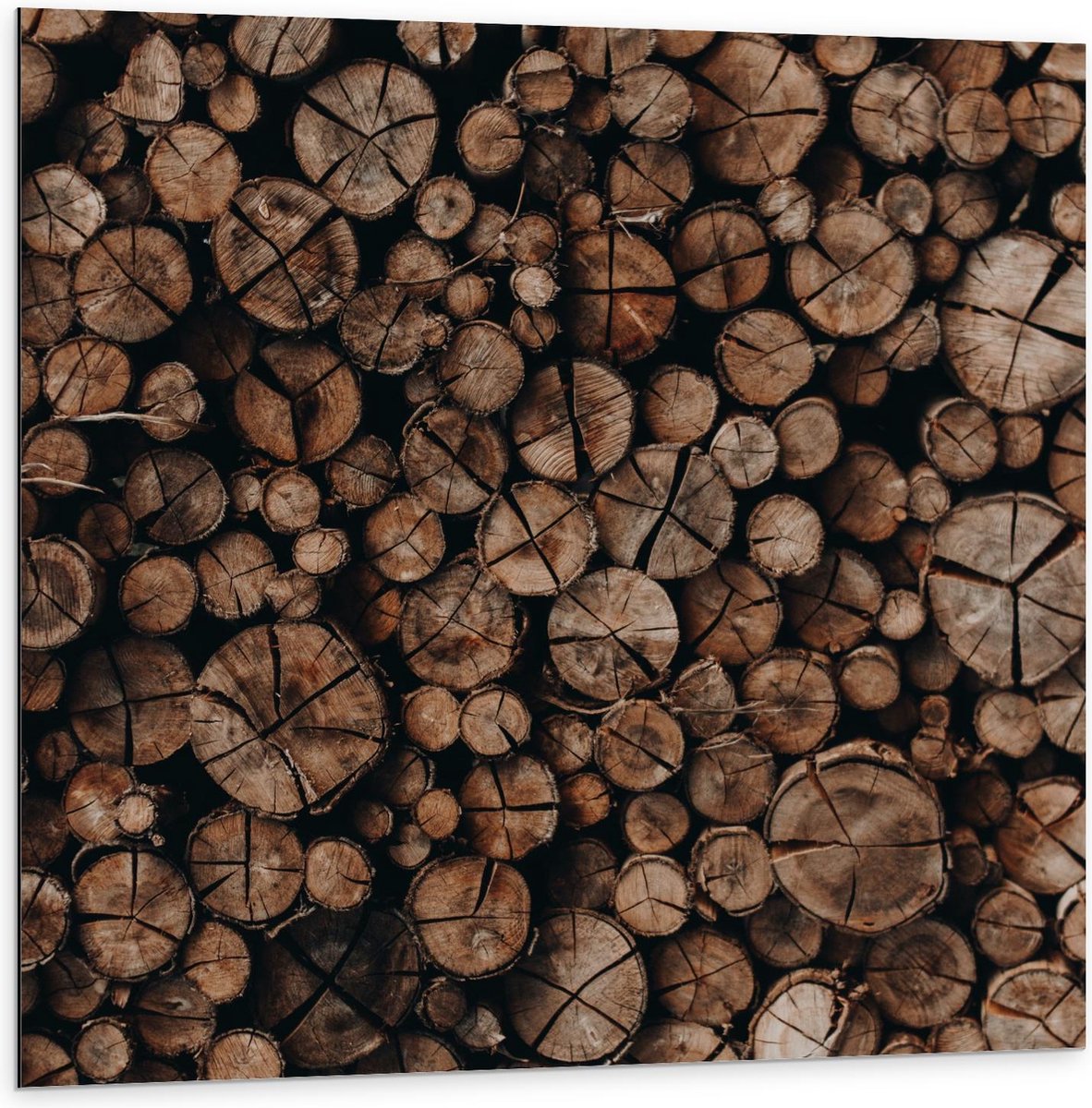 Dibond - Houten Palen Opgestapeld - 100x100cm Foto op Aluminium (Wanddecoratie van metaal)