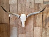 Longhoorn Skull - Skull - Longhorn - Wanddecoratie - Muurdecoratie - Cadeau - Gift - Dierenschedel - Buffelschedel - Schedel voor aan de muur - Dierenhoofd - 1 Meter | Viënna