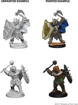 Dungeons and Dragons: Nolzurs Marvelous Miniatures - Dragonborn Male Paladin