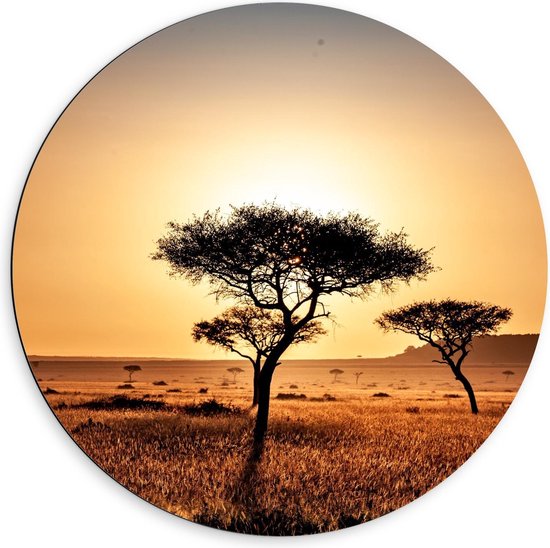 Dibond Wandcirkel - Afrikaanse Landschap  - 60x60cm Foto op Aluminium Wandcirkel (met ophangsysteem)