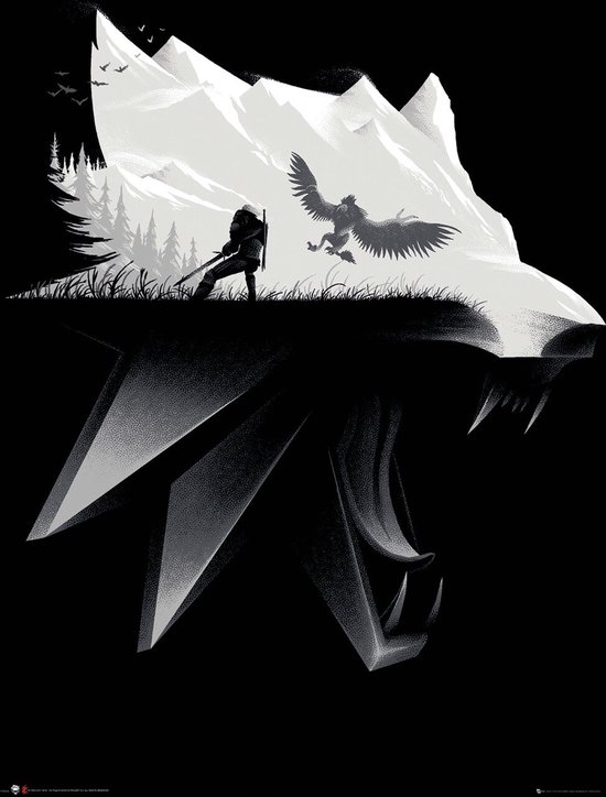 THE WITCHER - Poster 61X91 - Open World