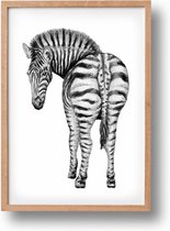 Poster zebra - A4 - mooi dik papier - Snel verzonden! - tropisch - jungle - dieren in aquarel - geschilderd door Mies