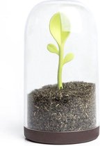 Sprout Jar Voor Kruiden