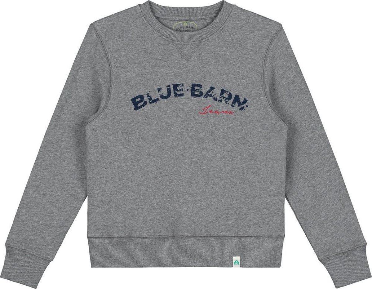 Blue Barn Jeans - sweater - grijs - Maat 152/158
