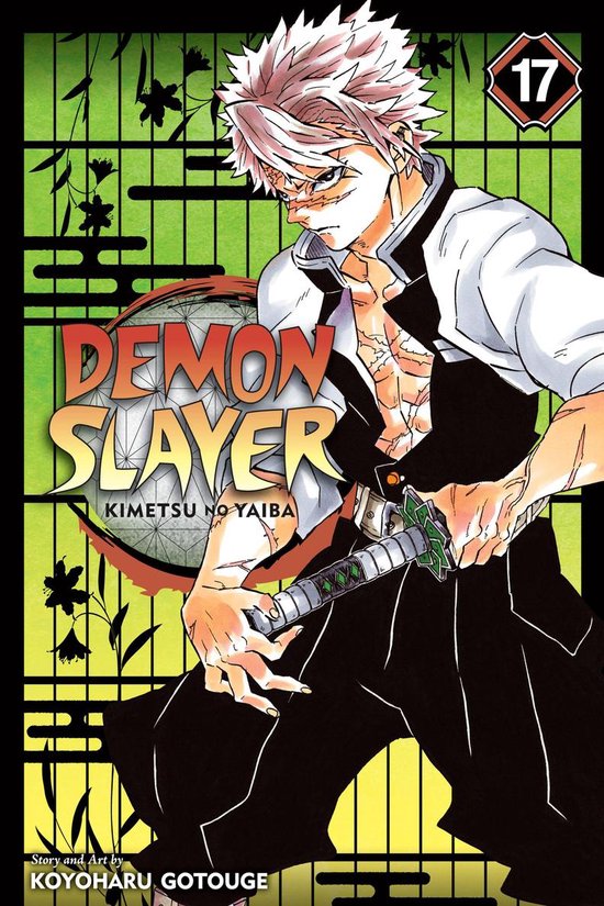 Demon Slayer: Kimetsu no Yaiba 17 - Demon Slayer: Kimetsu no ... - cover