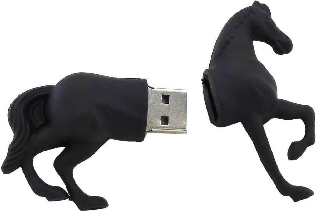 Clé USB Cheval 64 Go Noir - Garantie 1 An - Puce A Degré | bol.com
