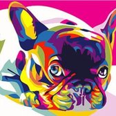 Painting Expert® Schilderen op nummer Volwassenen – Schilderen op nummer Kinderen - Buldog - 50x65cm - Op Lijst Gemonteerd (36 kleurtjes)