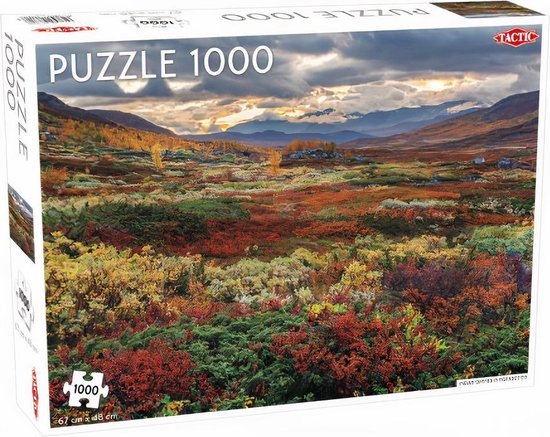 Puzzel - Puzzel 1000 stukjes volwassenen - Legpuzzel - Puzzel volwassenen -  Tactic... | bol.com