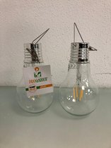 ProGarden Solar lamp - twee stuks