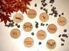 Afbeelding van het spelletje Houten munten met Insecten -  Duurzaam speelgoed - Educatief speelgoed - Houten speelgoed