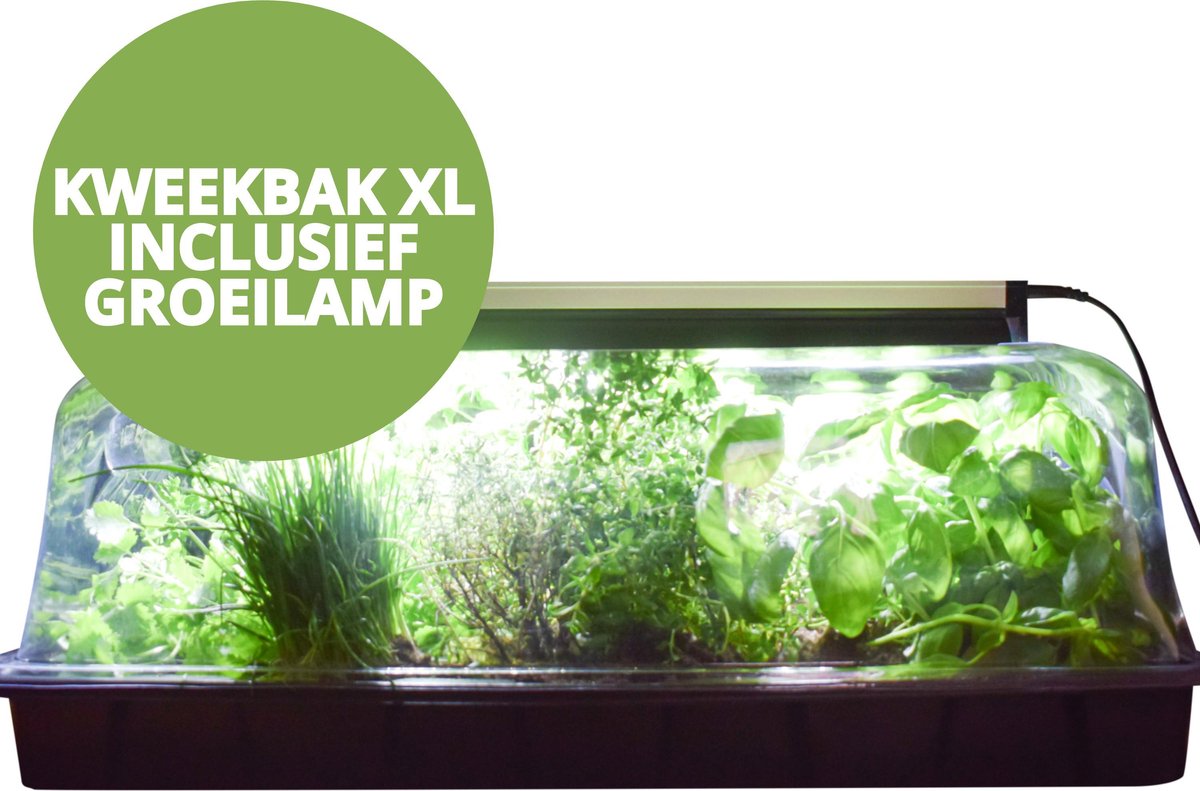 XL Kweekbak met Deksel en LED Groeilamp – Kweekkas met Kweeklamp | bol.com