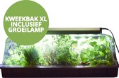 XL Kweekbak met Deksel en LED Groeilamp – Kweekkas met Kweeklamp