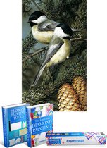 Crafterman™ Diamond Painting Pakket Volwassenen - Vogels in de boom met dennenappels  - 30x40cm - volledige bedekking - vierkante steentjes - Met tijdelijk 2 E-Books
