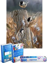Crafterman™ Diamond Painting Pakket Volwassenen - Vogels op boomstronk (natuur) - 30x40cm - volledige bedekking - vierkante steentjes - Met tijdelijk 2 E-Books