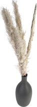 Pampas Pluimen | Pampasgras | 3 stuks | 115 cm