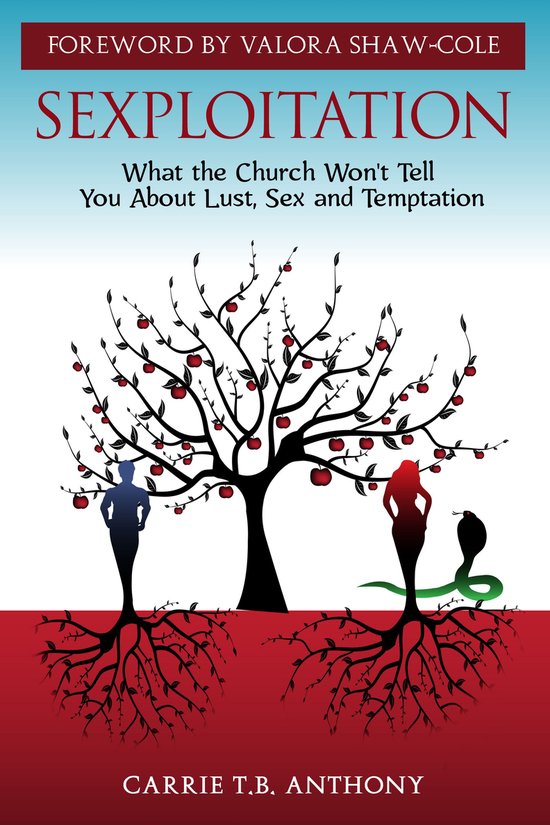 Sexploitation: What the Church Won't Tell You About Lust, Se ... - cover