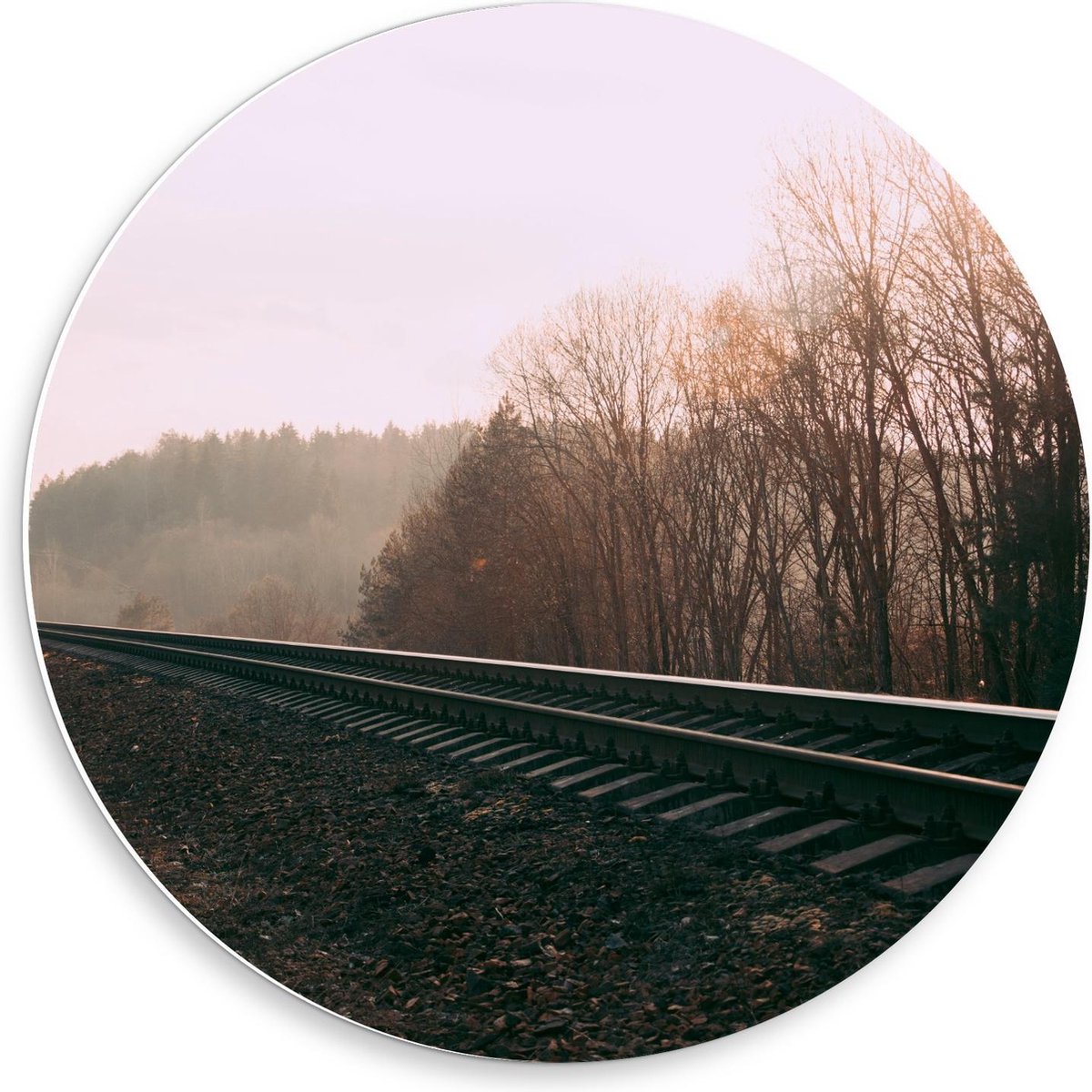 Forex Wandcirkel - Treinrails in Landschap - 50x50cm Foto op Wandcirkel (met ophangsysteem) op Prijzenvolger.com