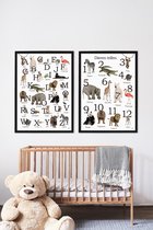 Poster set Wilde Dieren ABC (alfabet) en Tellen (van 1 tot 12) 50x70 cm