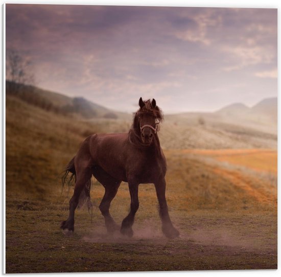 Forex - Paard in Berglandschap - 50x50cm Foto op Forex