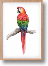 Poster papegaai - A4 - mooi dik papier - Snel verzonden! - tropisch - jungle vogel - dieren in aquarel - geschilderd door Mies