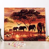 The circle of life - Schilderen op nummer - verven op nummer - kleuren op nummer - hobby pakket - paint by number - hobbypakket - 50x40cm - los canvasdoek