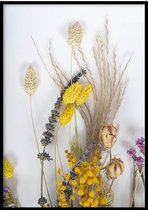 Poster Dried Flowers - 30x40cm - Poster Droogbloemen - WALLLL