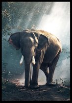 Punt. Poster - Elephant Forest (olifant) - 100 X 70 Cm - Groen